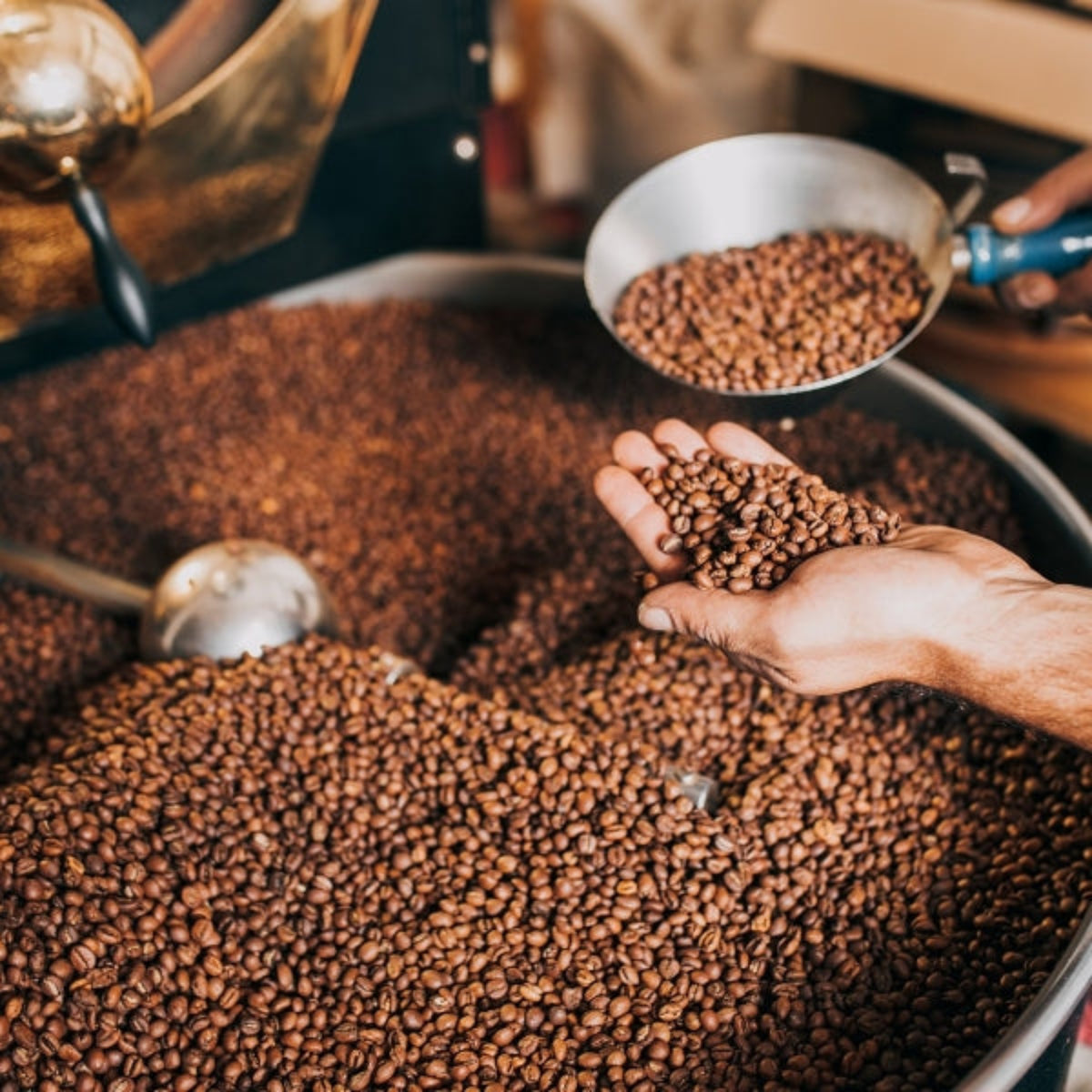Coffee In-Depth Report